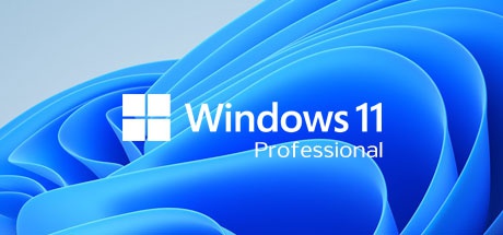 Buy Windows 11 Professional OEM Software Software Key 