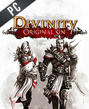 Divinity: Original Sin - Enhanced Edition GOG Edition