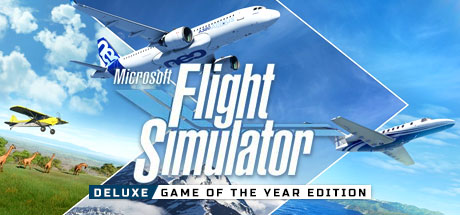 Microsoft Flight Simulator Deluxe GotY Edition