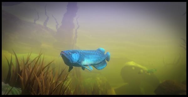 Buy Feed and Grow: Fish Steam PC Key 