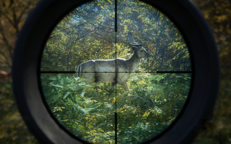 theHunter: Call of the Wild US