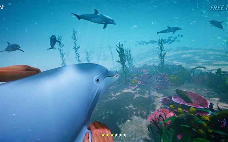 Dolphin Trainer VR