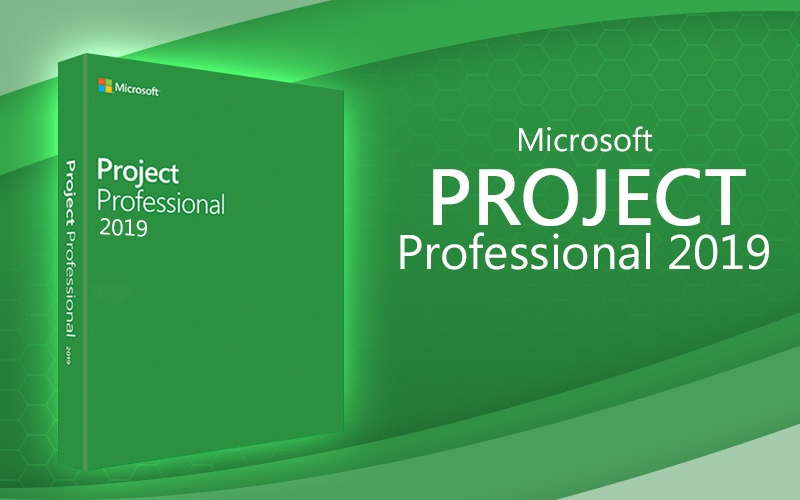 Image result for Project Professional 2019