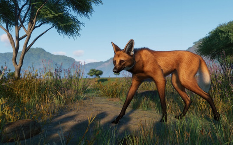Planet Zoo: Grasslands Animal Pack EUROPE