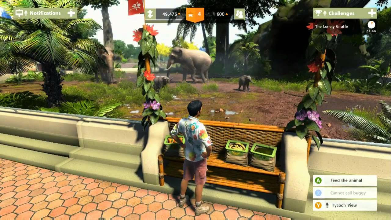 Buy Zoo Tycoon Xbox One Xbox Key 